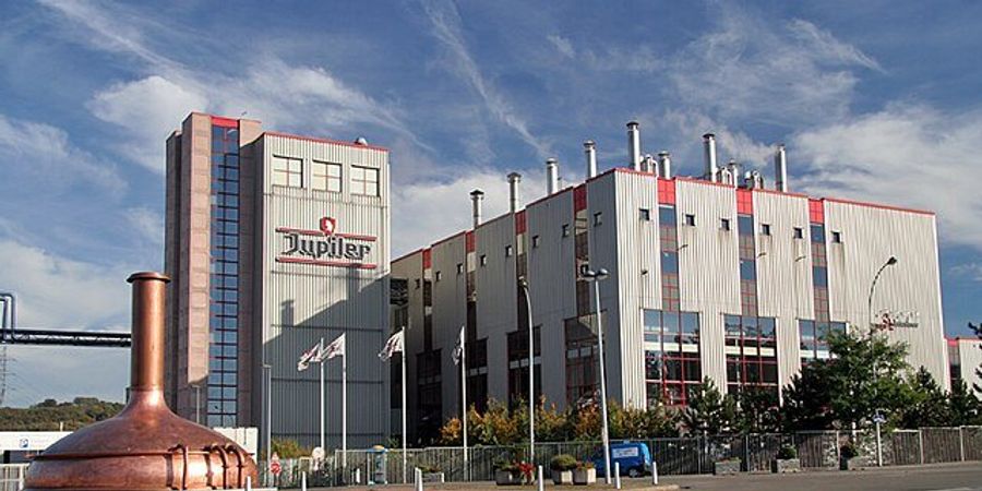 image - Jupille sans modération