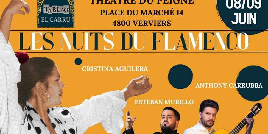image - Les Nuits du Flamenco