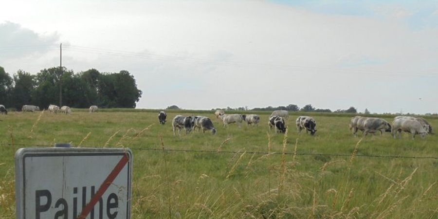 image - Balade à PAILHE 