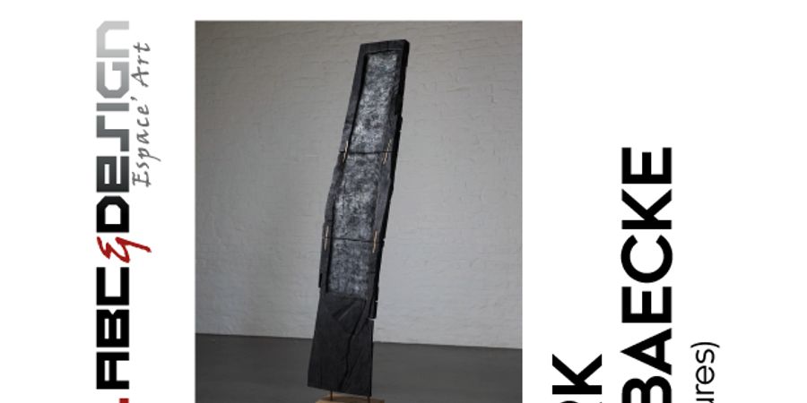 image - Dirk Debaecke - Artan Seferi