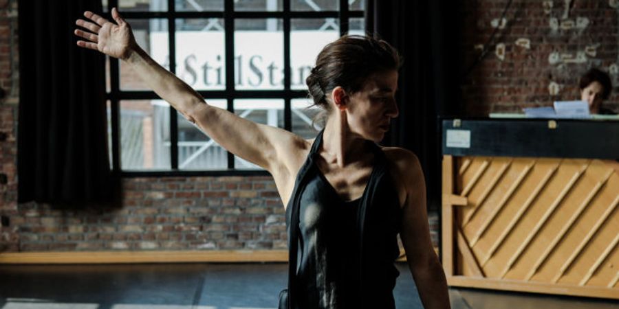 image - Danses en dormance