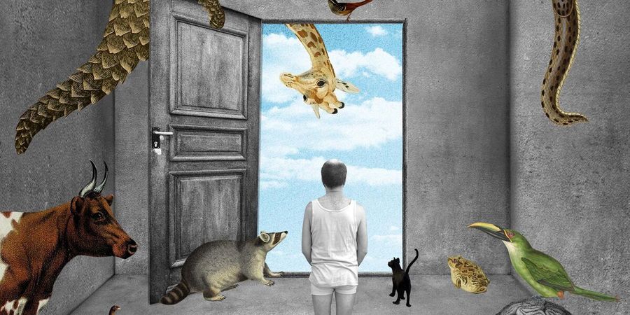 image - Le Bestiaire périmé
