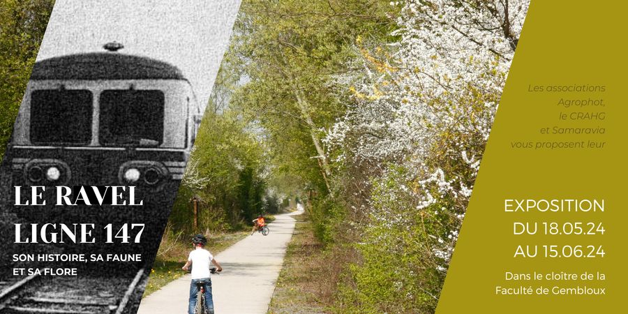 image - Exposition RAVeL ligne 147 : son histoire, sa faune et sa flore
