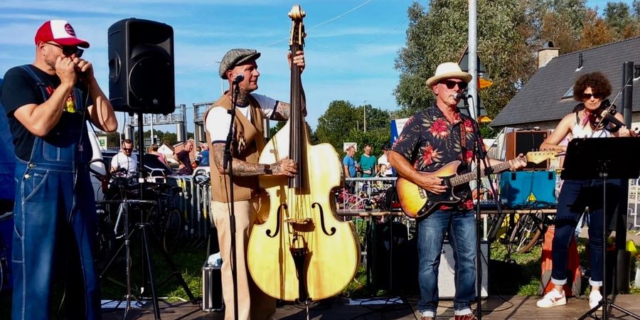 image - Brother Root