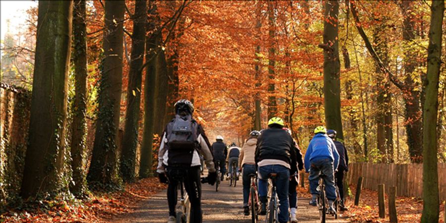 image - Begeleide mountainbiketocht
