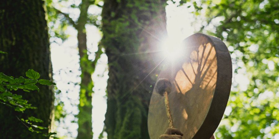 image - AU RYTHME DE LA FORET