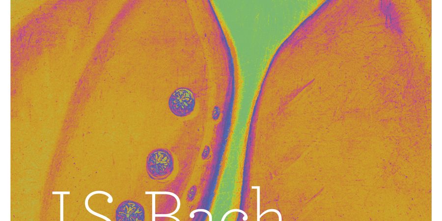 image - Bach Concert - Minimes Cantat