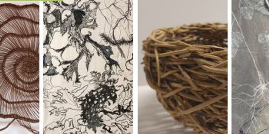 image - Renc'art Expo végétales