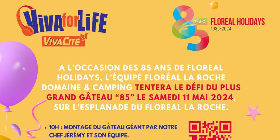 image - Défi du plus grand gâteau au profit de Viva for Life