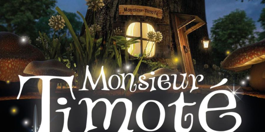 image - MONSIEUR TIMOTÉ