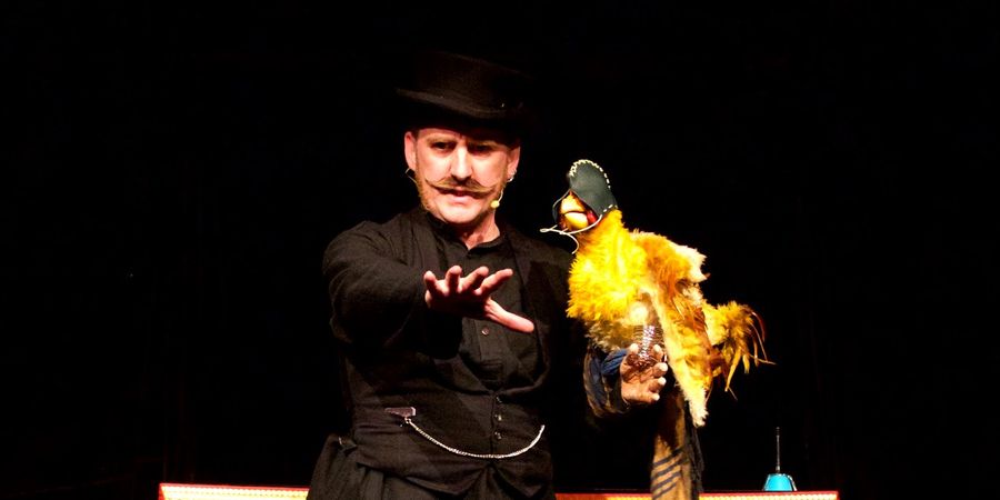 image - Random Acts of Puppetry