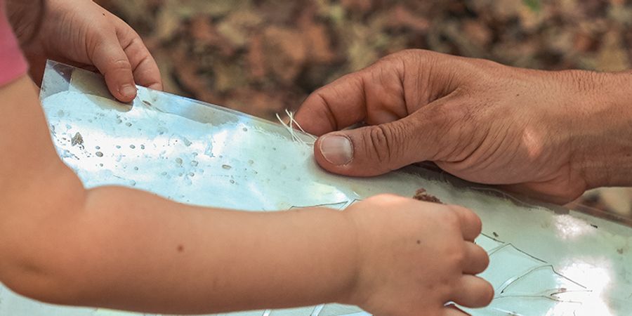 image - Atelier à 4 mains - Eveil musical ( 0 - 3 ans)