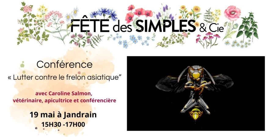 image - Conférence: « Lutter contre le frelon asiatique»