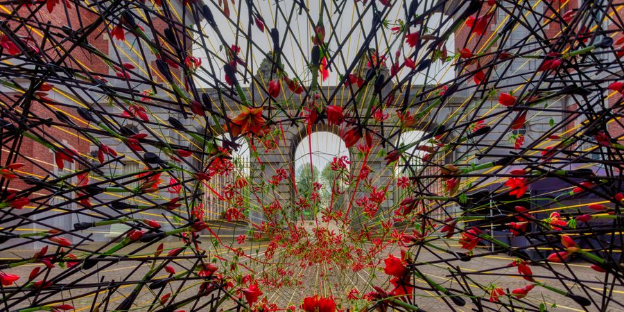 image - Concours Amaryllis du Château de Belœil