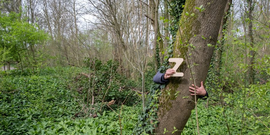 image - Les Zinopinées - Bain de forêt avec Nadège Albaret 