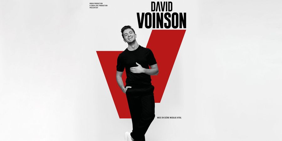 image - David Voinson