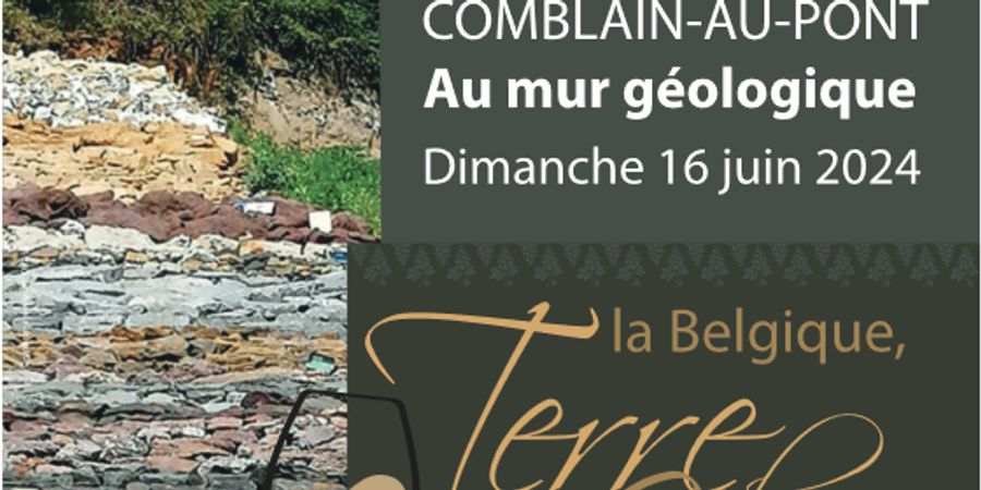 image - La Belgique, terre de vin