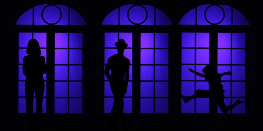 image - LE VISITEUR INATTENDU