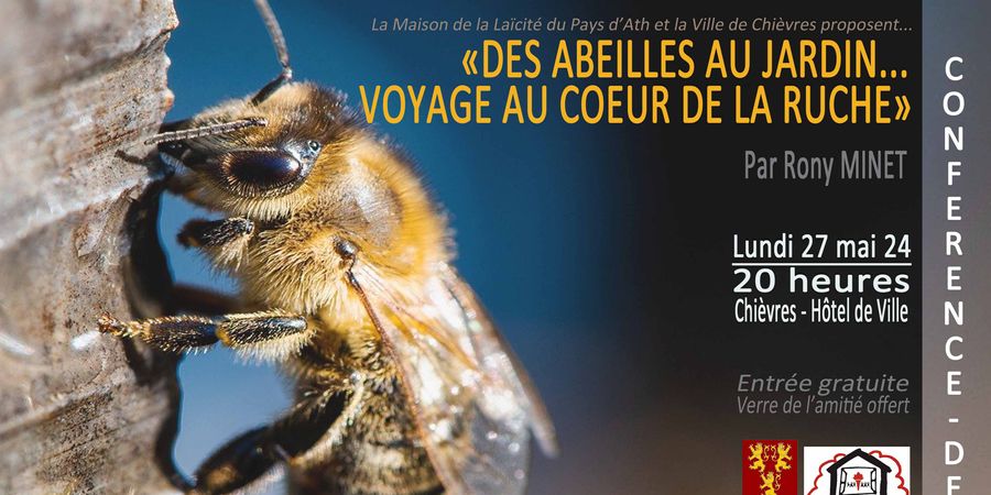 image - Des abeilles au jardin...voyage au coeur de la ruche