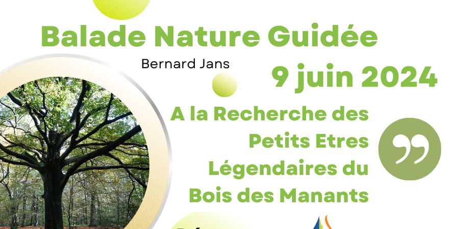 image - Balade Nature Guidée, A la Recherche des Petits Etres du Bois des Manants