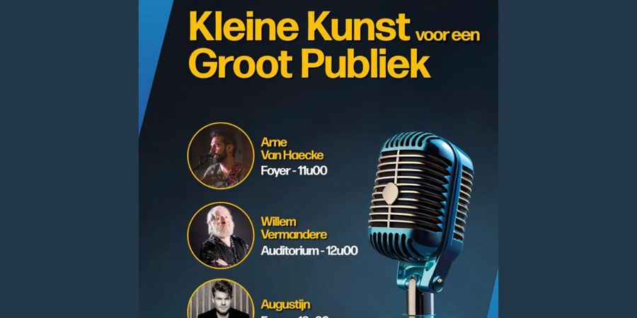 image - Kleine kunst voor een groot publiek