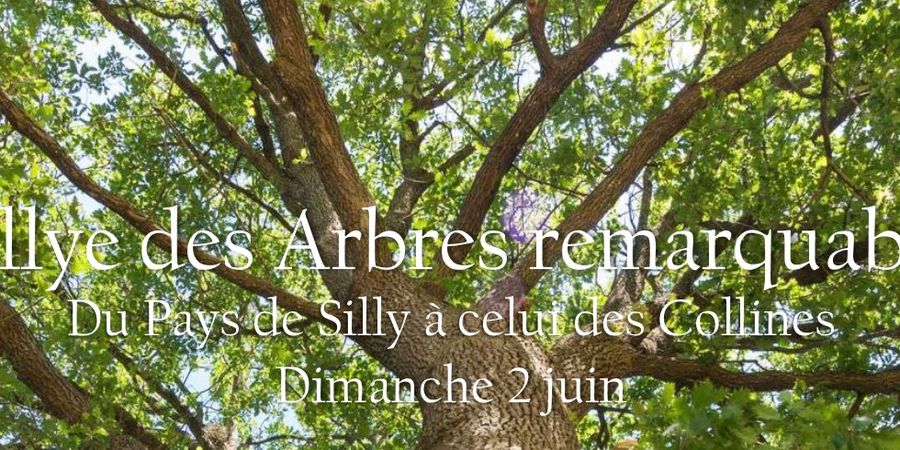 image - Rallye des Arbres remarquables : du Pays de Silly à celui des Collines