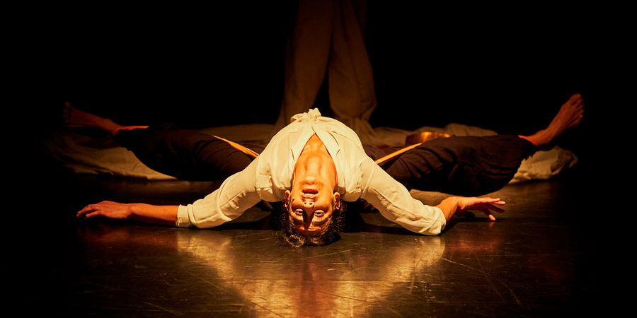 image - Cosmos de Ashtar Muallem & Clément Dazin 