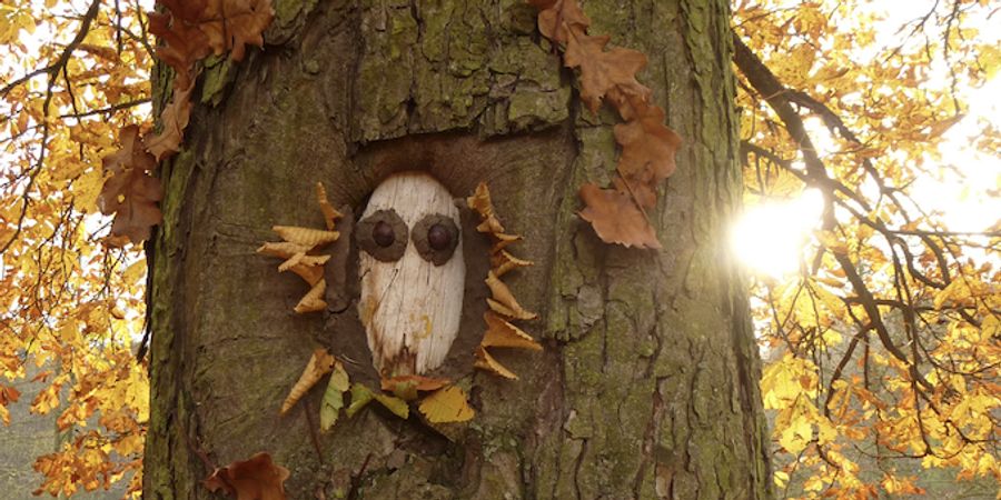 image - Land'art Nature dans le Parc