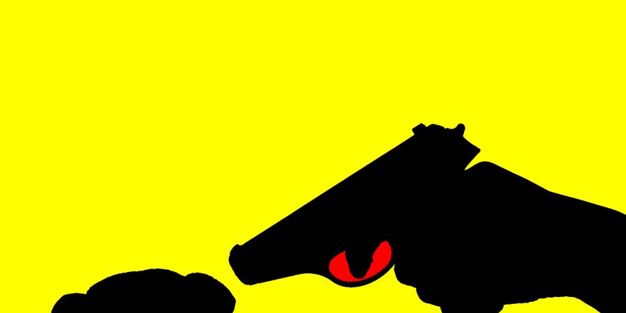 image - Cocq'Arts Festival - Fais dodo + Taxxmen