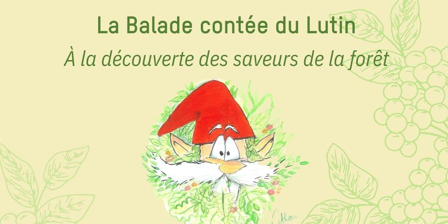 image - Balade contée : A la découverte des saveurs de la forêt