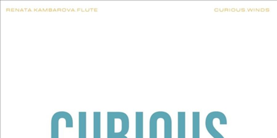 image - Caféconcert Curious Winds