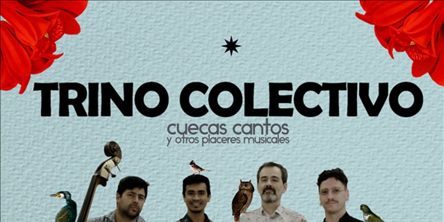 image - concert Trino Colectivo
