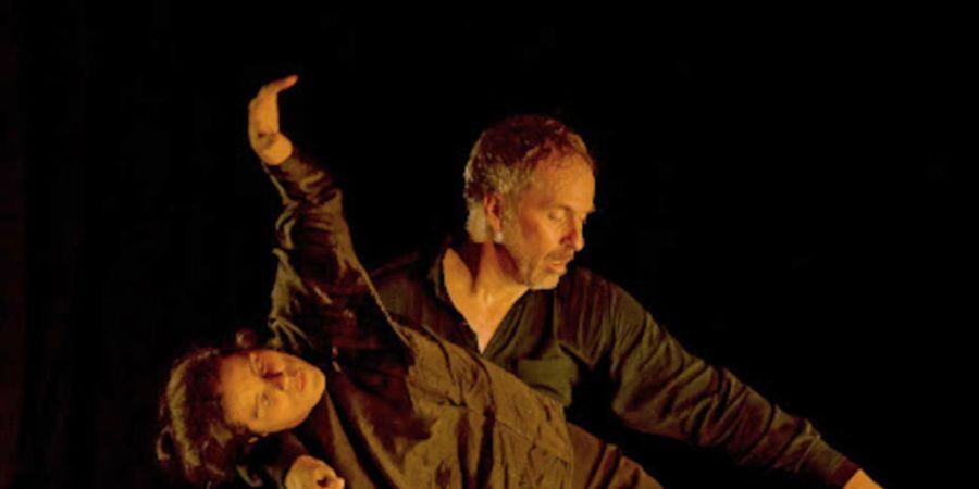 image - Stage Danse-Théâtre 2024