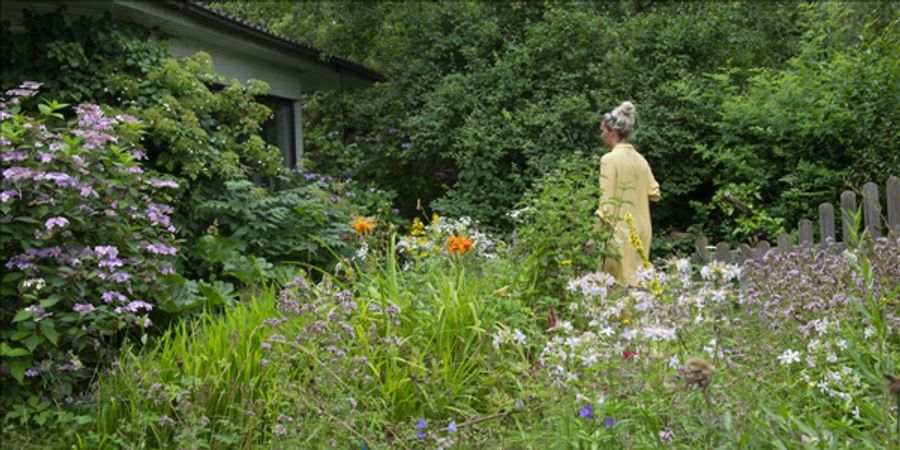 image - Eetbare bloemen in ‘De tuinen van Drootbeek