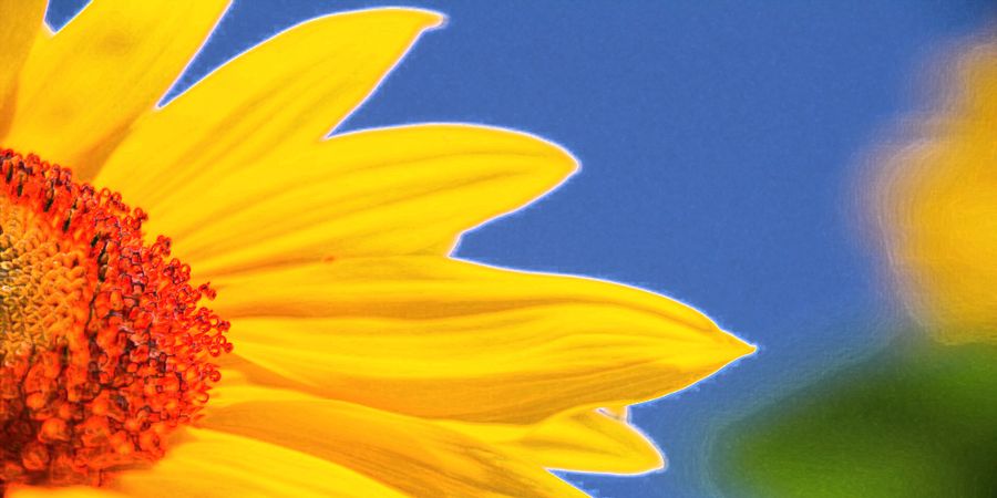 image - 