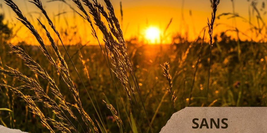 image - Balade du solstice