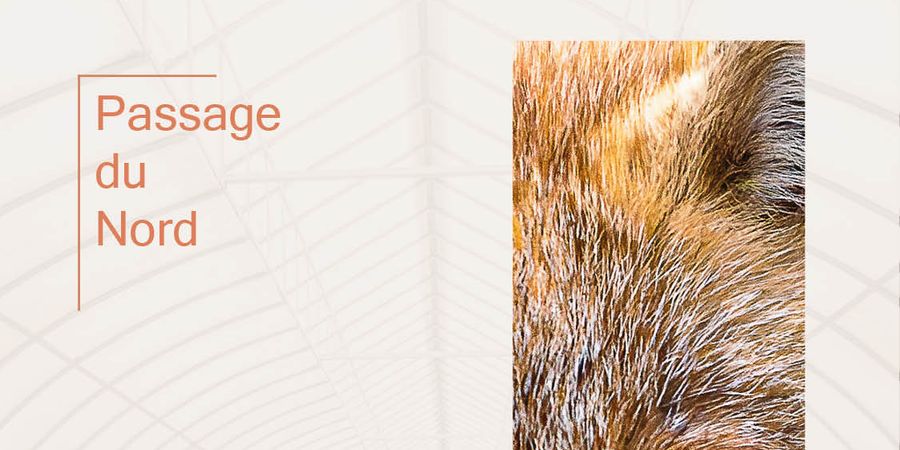 image - Sauvage