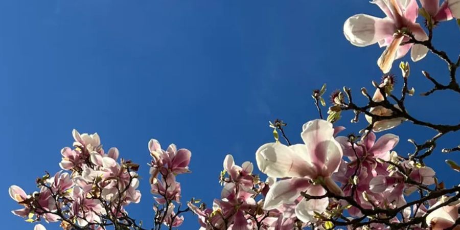 image - Luisterplek BlinkOut