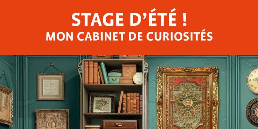 image - Mon cabinet de curiosités 