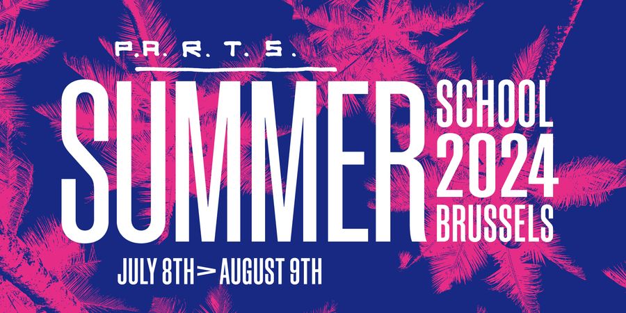 image - P.A.R.T.S. SummerSchool 2024