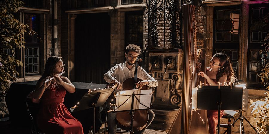 image - Flageolet Ensemble