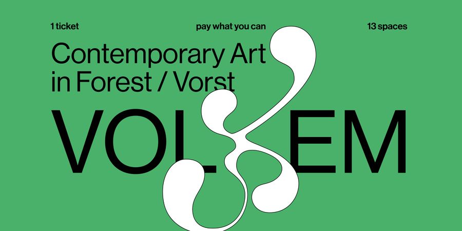 image - Contemporary Art in Forest/Vorst