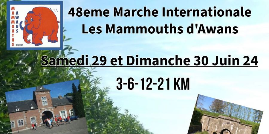 image - 48e Marche Internationale