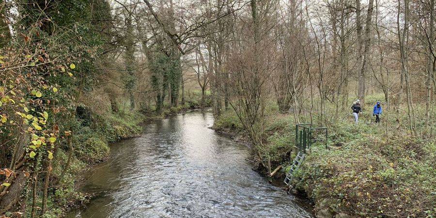 image - Marche aux temps des Moissons