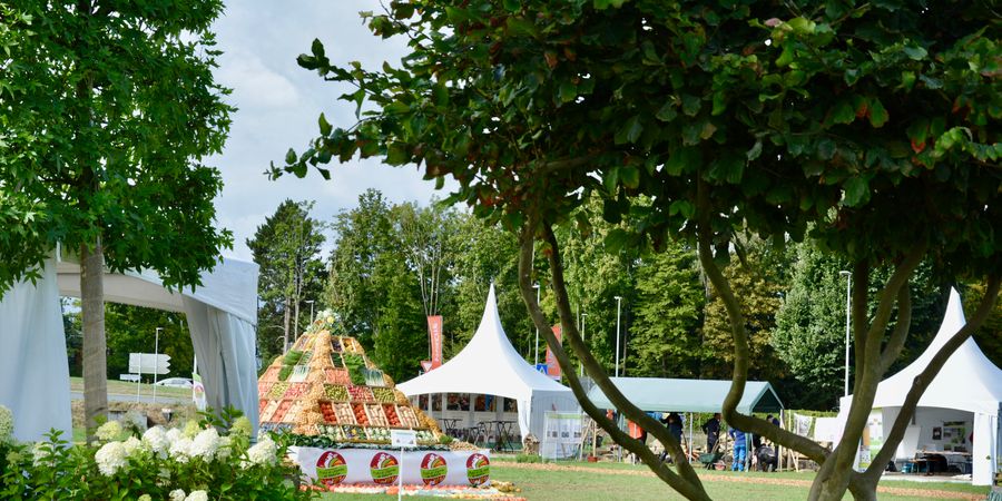image - Hortifolies 2024