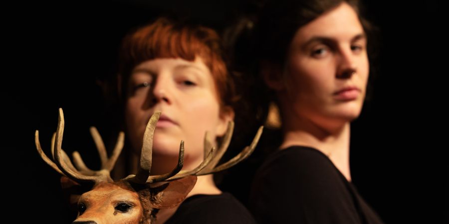 image - Dans les bois