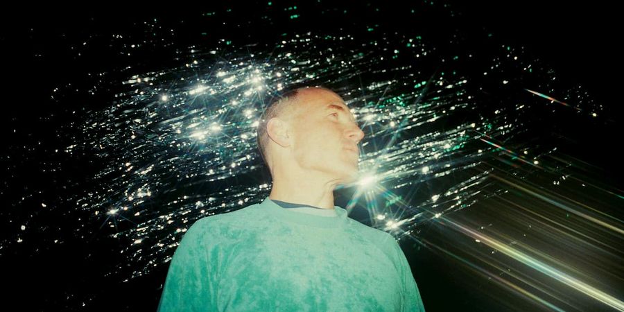 image - Caribou