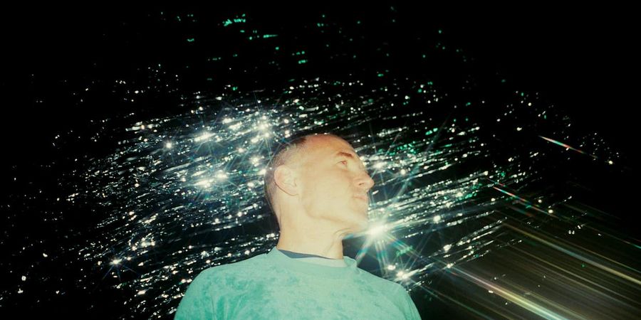 image - Caribou