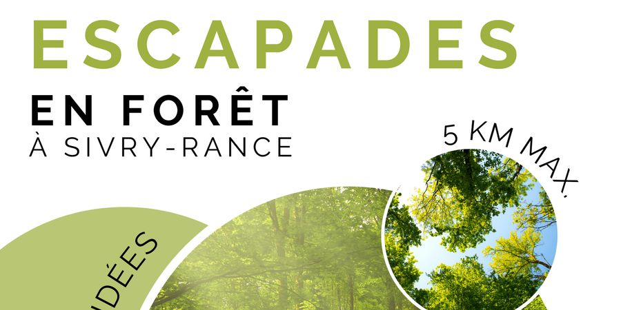 image - Escapades en forêt à Sivry-Rance 2024