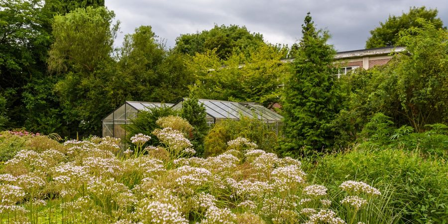image - Le Jardin Massart : un ancien jardin botanique rendu nous raconte son passé glorieux